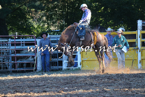 Taralga2015_6777