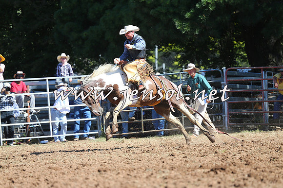 Taralga2015_5063
