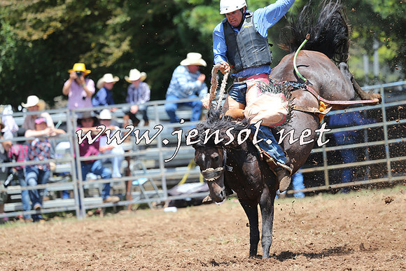Taralga2015_3533