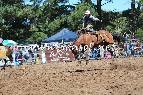 Taralga2015_4317