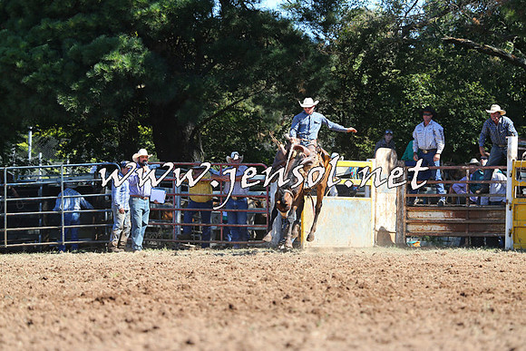 Taralga2015_4996