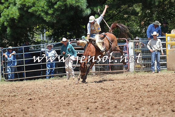 Taralga2015_3585