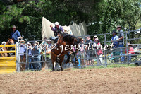 Taralga2015_3433