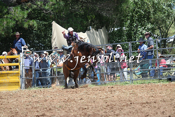 Taralga2015_3433