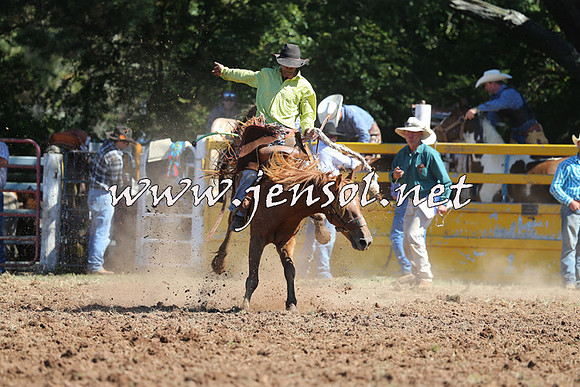 Taralga2015_4960