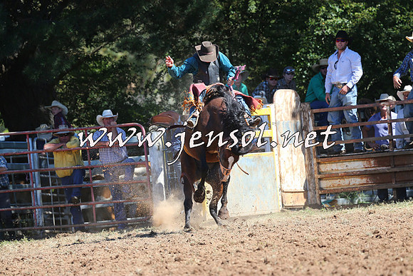 Taralga2015_4833