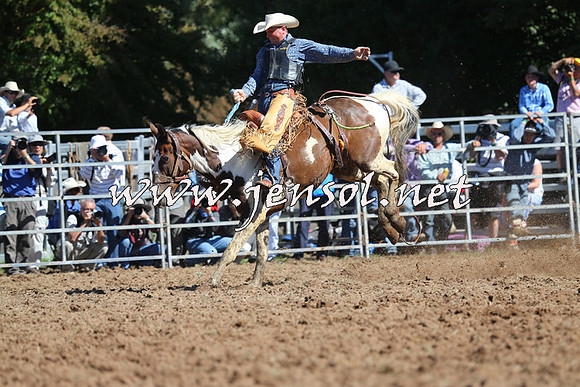 Taralga2015_5085