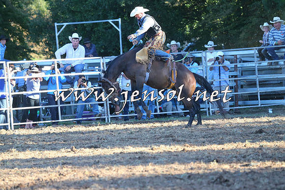 Taralga2015_6817