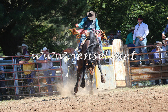 Taralga2015_4832
