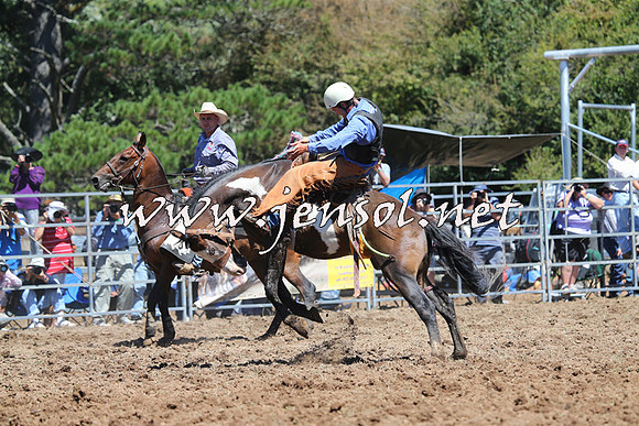 Taralga2015_4473