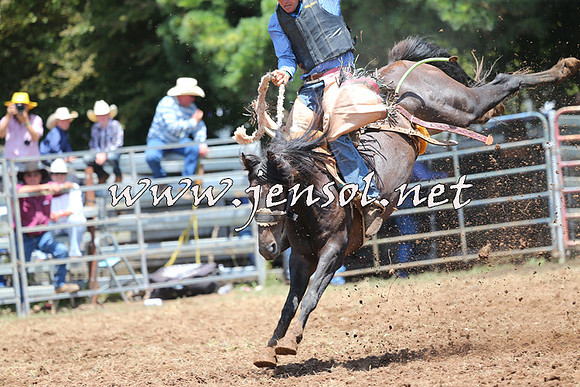 Taralga2015_3528