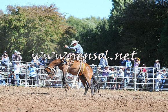 Taralga2015_5056