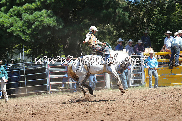 Taralga2015_4290