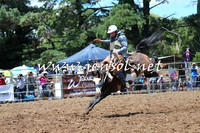 Taralga2015_3490