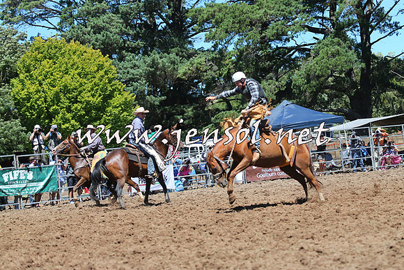 Taralga2015_4258