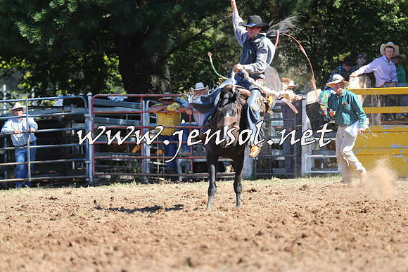 Taralga2015_5101