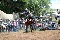 Taralga2015_3431