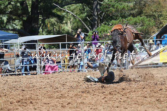 Taralga2015_4412