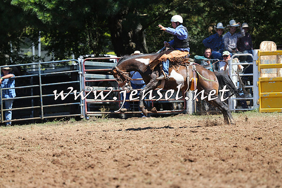 Taralga2015_4440