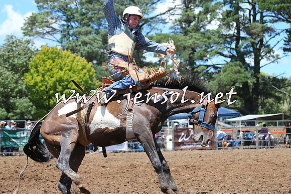 Taralga2015_3500