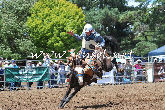 Taralga2015_3484