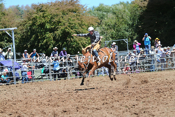 Taralga2015_4244