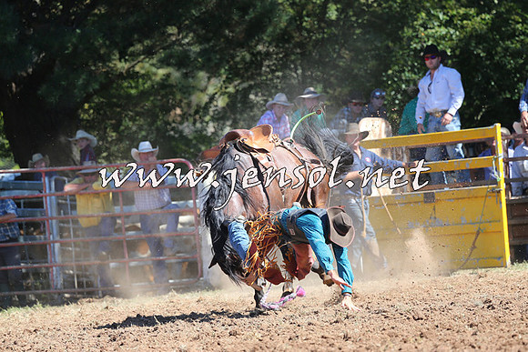 Taralga2015_4840