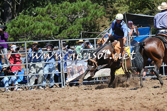 Taralga2015_4455