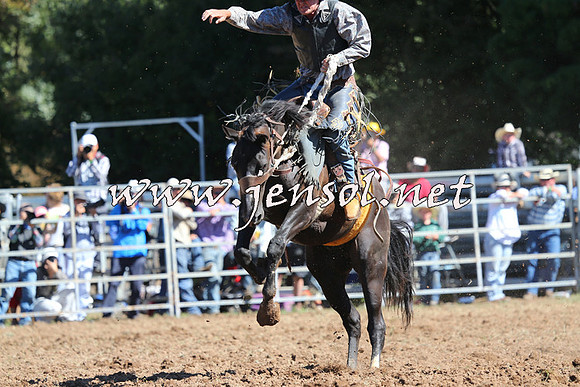 Taralga2015_5112
