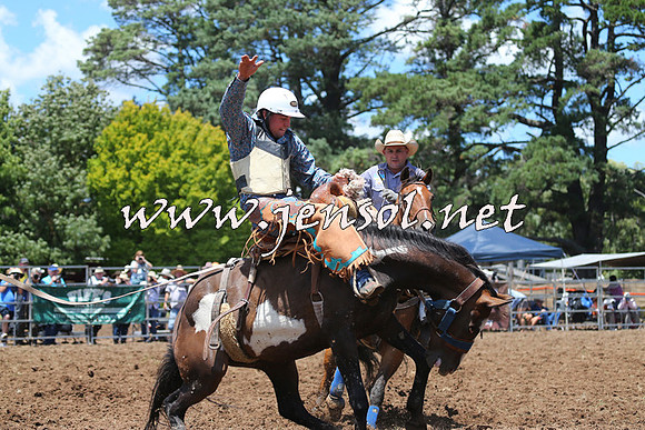 Taralga2015_3507