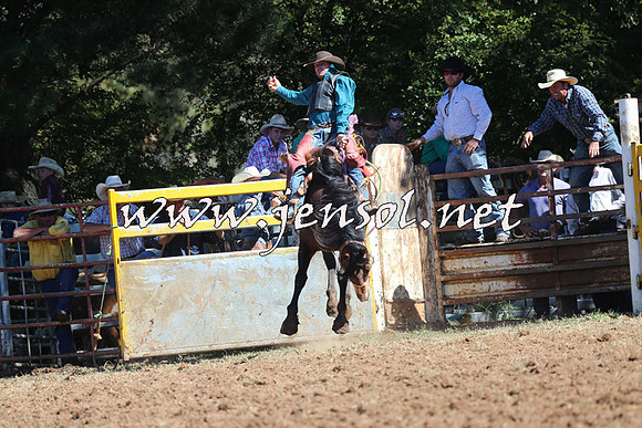 Taralga2015_4824