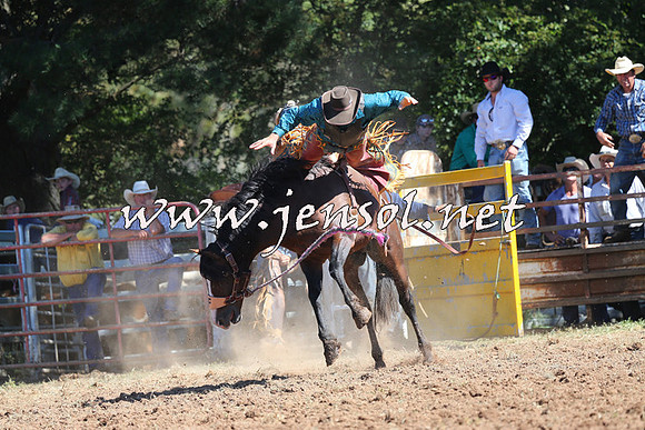 Taralga2015_4851