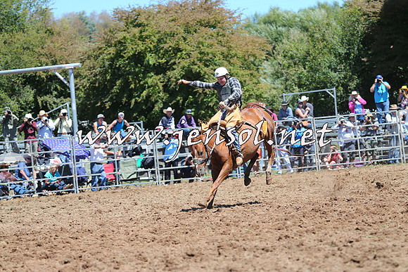 Taralga2015_4245