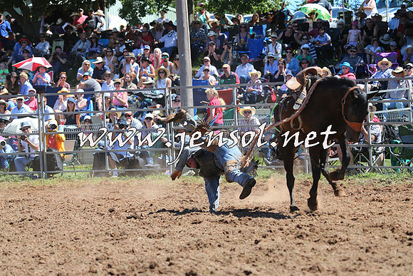 Taralga2015_4529