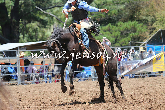 Taralga2015_3539