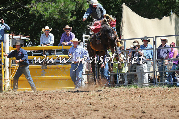 Taralga2015_4360