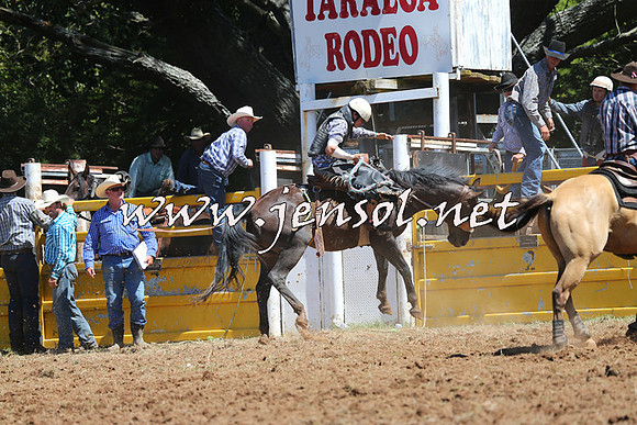 Taralga2015_4334