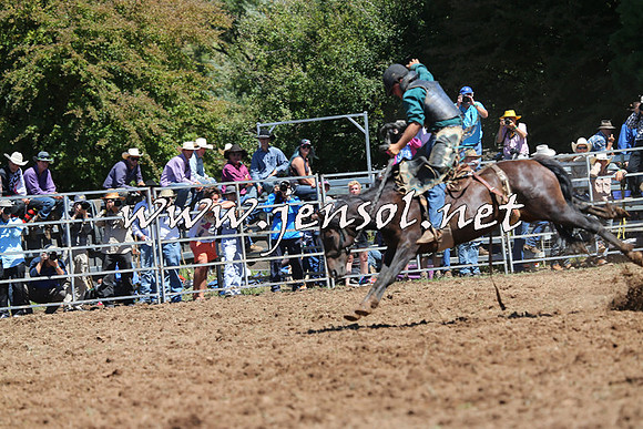 Taralga2015_4391