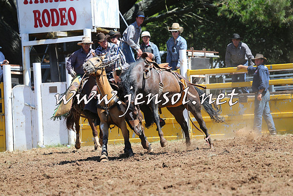 Taralga2015_4337