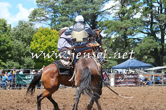 Taralga2015_3511