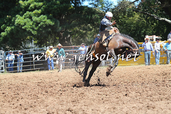 Taralga2015_4521