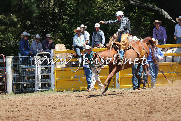 Taralga2015_4243