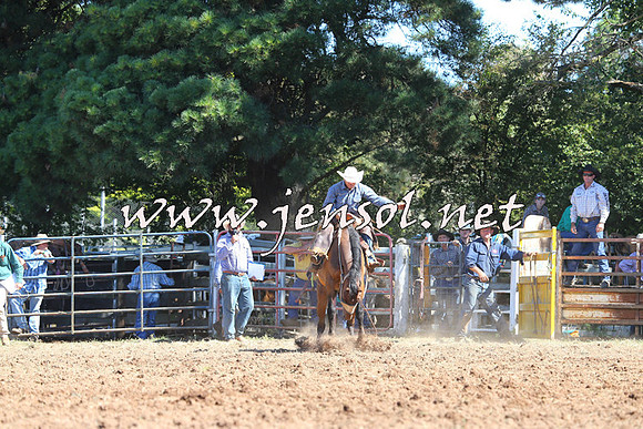 Taralga2015_5004