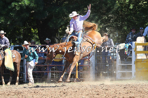 Taralga2015_4887