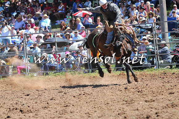 Taralga2015_4527