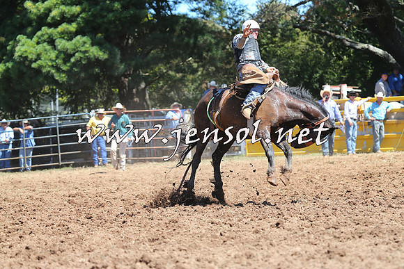 Taralga2015_4514