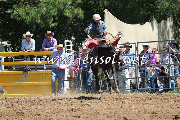 Taralga2015_4349