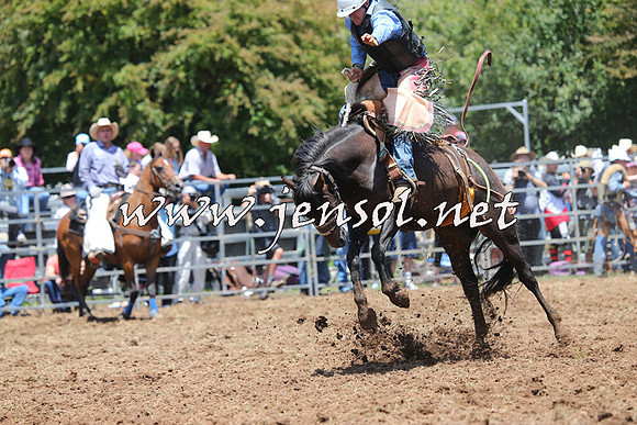 Taralga2015_3523