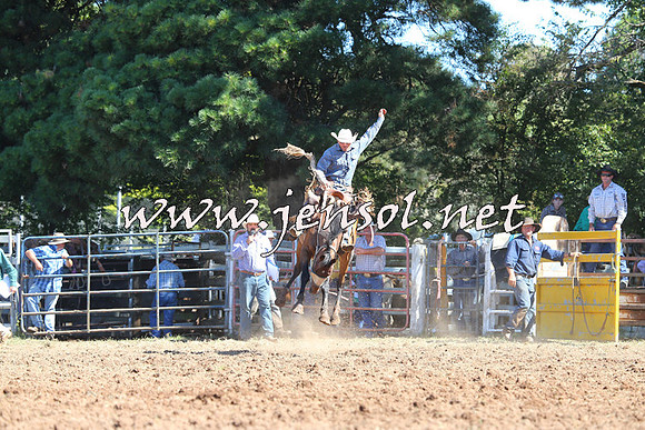 Taralga2015_5022