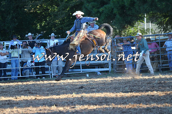 Taralga2015_6818